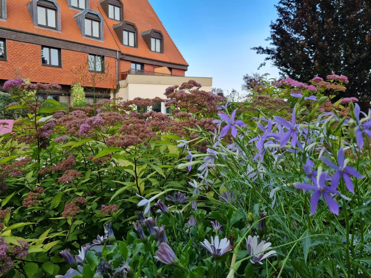 Hotel L'Europe Horbourg-Wihr Exterior photo